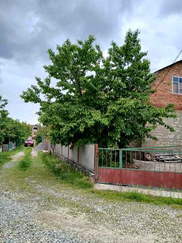 Вербова