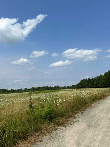 Вишнева