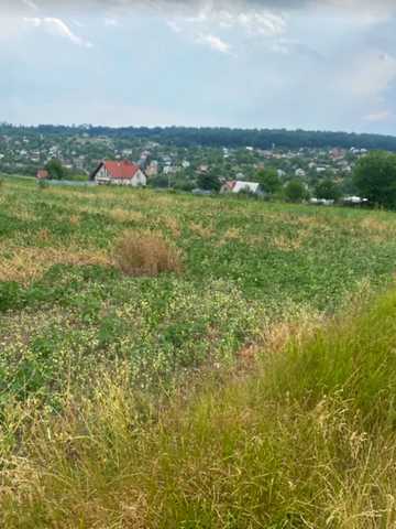 Петриків, Тернопільський, Тернопільська область 10450 USD