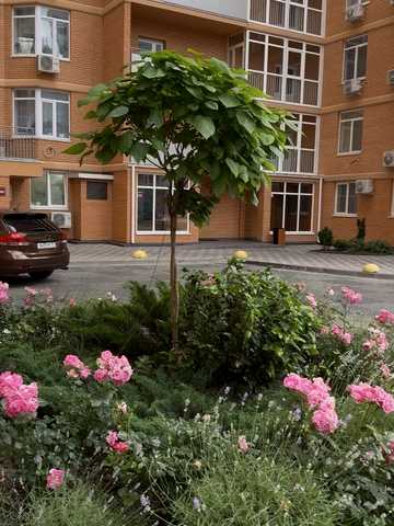 Люстдорфська дорога вул. (Черноморская дорога), 55