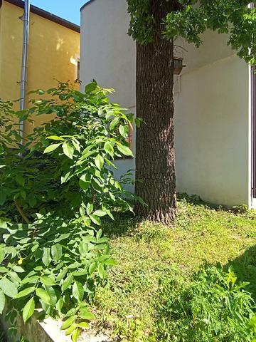 Миколи Сингаївського вул. (Ново-Оскольська), 55А