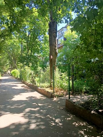 Івана та Юрія Лип вул. (Гайдара), 66