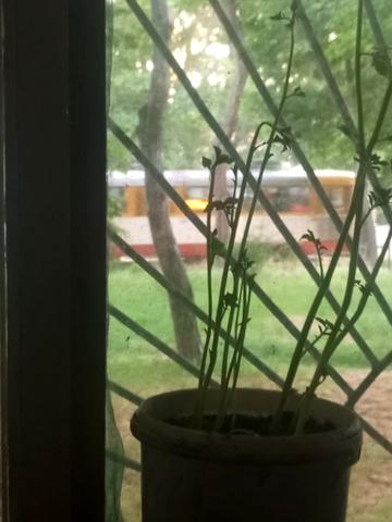Фонтанська дорога вул., 71г