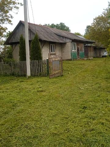 володимира великого