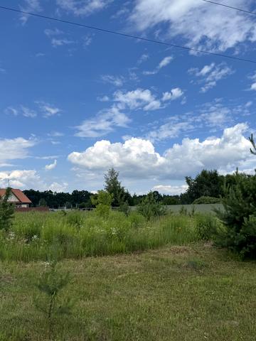 Лісова