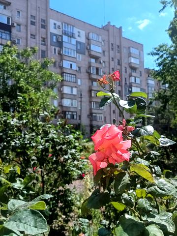 Качалова вул., 42