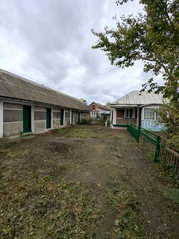 Центральна