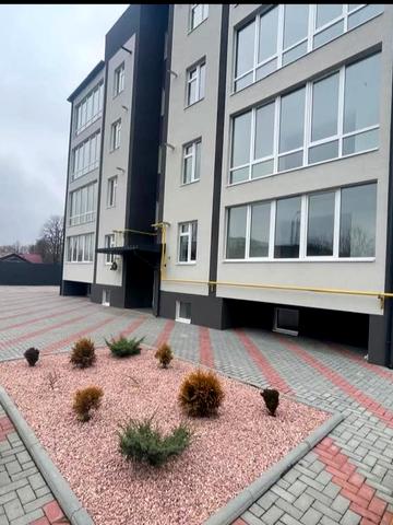 Центральна вул., 33