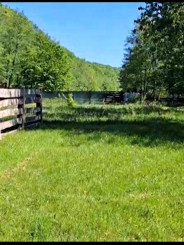 Чинадійово, Мукачівський, Закарпатська область 88400 USD