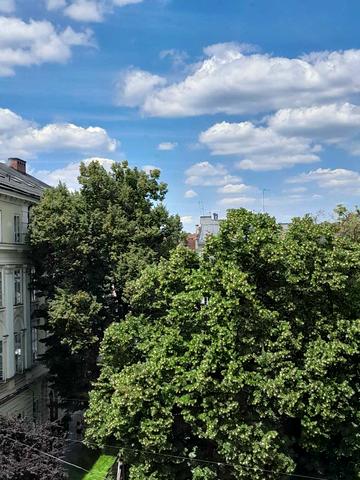 Ринок пл., 12