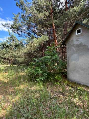 Синяк, Бучанський, Київська область 12500 USD
