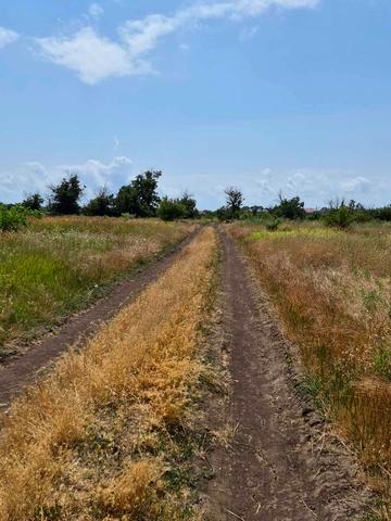 Індустріальна