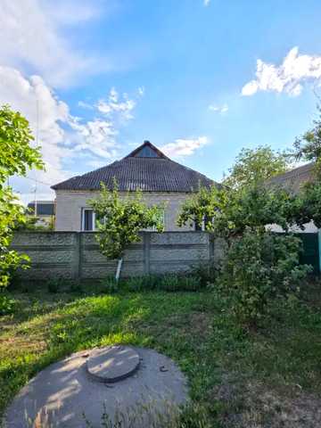 Лебедина, 64