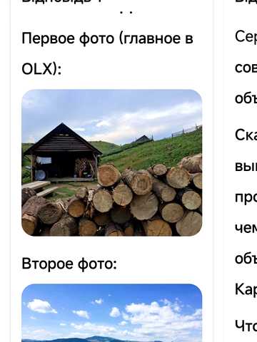 Бандери
