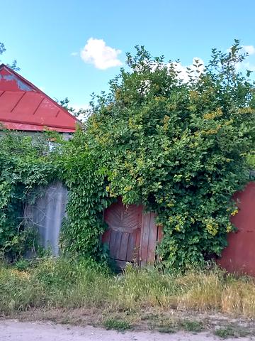 Гаврилівський пров. (Черняховського)
