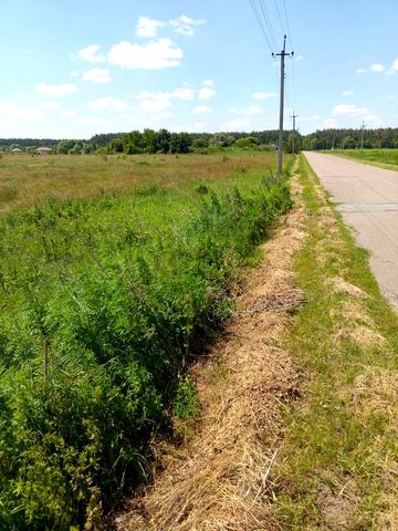 Вороньків, Бориспільський, Київська область 10000 USD