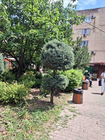 Місячний пров., 6