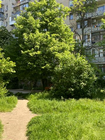 Академіка Корольова вул., 31-А