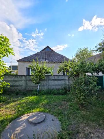 Лебедина, 64