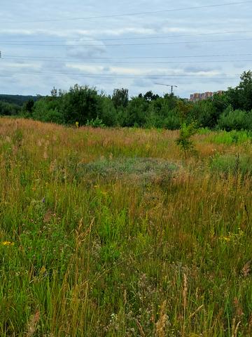 Заріччя, Коростенський, Житомирська область 10800 USD