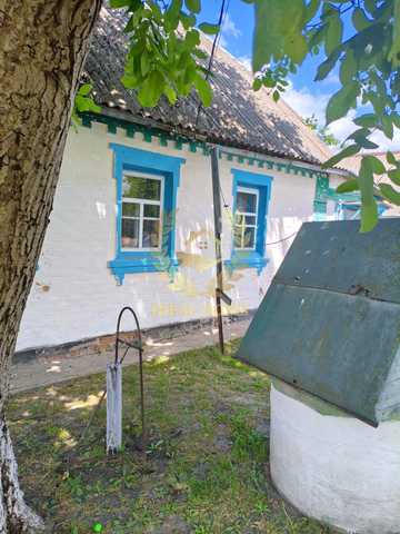 Відродження, 10