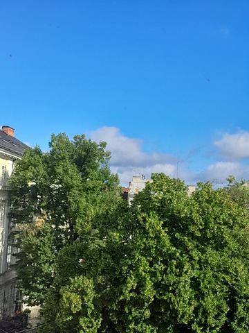 Ринок пл., 12