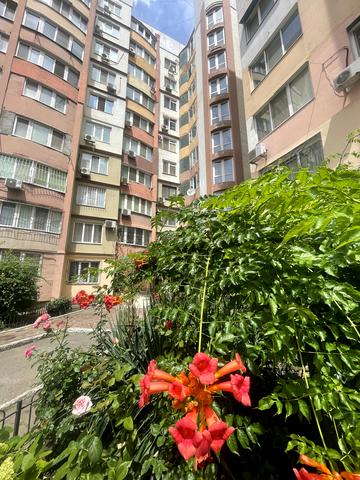 Тополина вул., 22