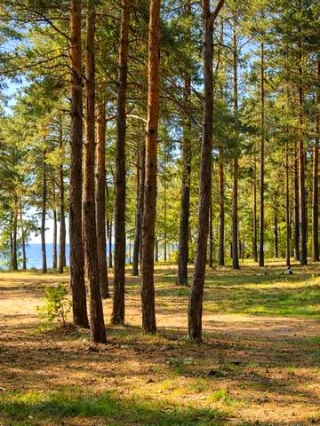 Ясногородка, Вишгородський, Київська область 2000000 USD