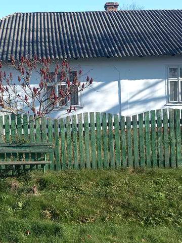 Шевченка