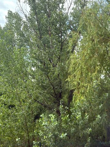 Головна
