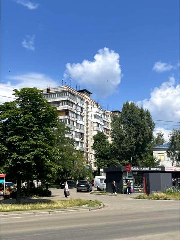 Академіка Булаховського вул., 28