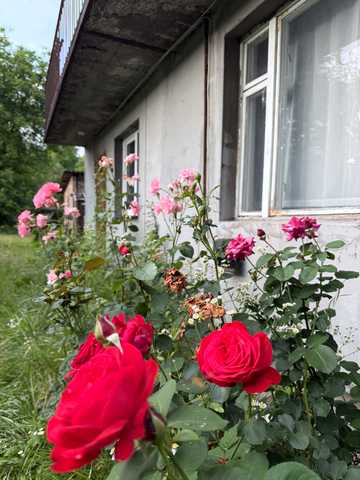 Долинівка вул.