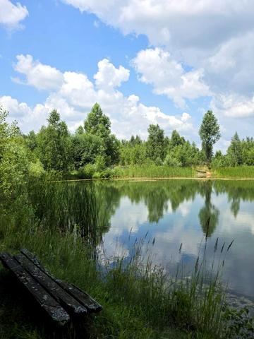 Гавронщина, Бучанський, Київська область 90000 USD