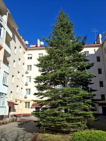 Олександра Олеся вул., 25в