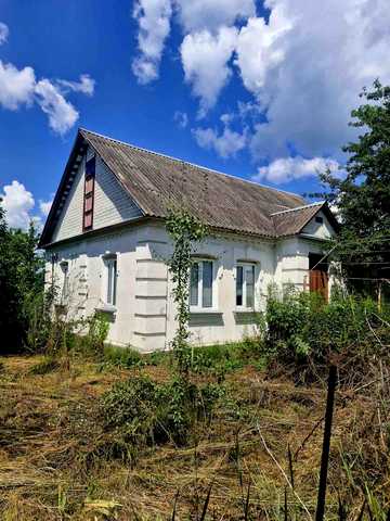 Центральна