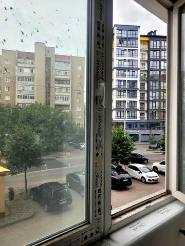 Пасічна вул., 15а