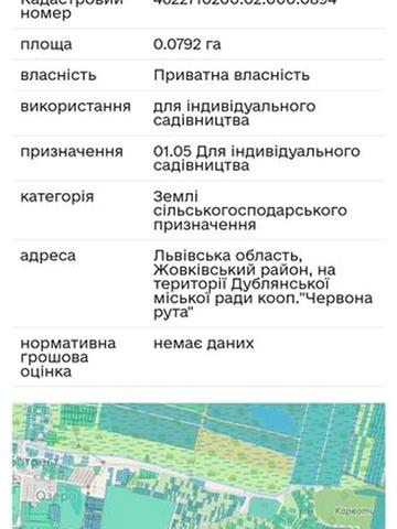 Червона Рута