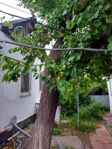 1-й Парниковий пров., 34
