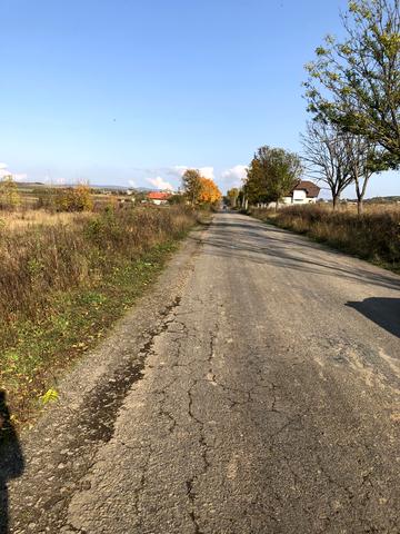 Центральна