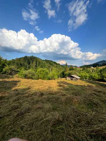 Великий Рожин, Косівський, Івано-Франківська область 8500 USD