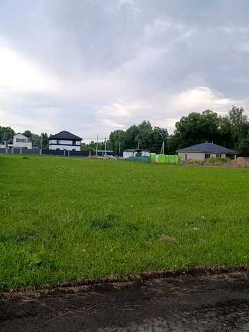 тиха