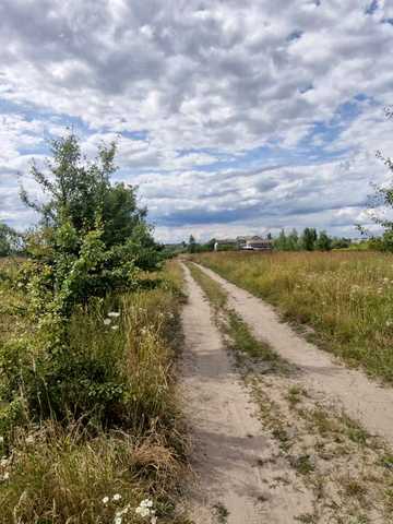Нова, 1