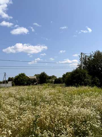 Софіївська Борщагівка, Бучанський, Київська область 65000 USD