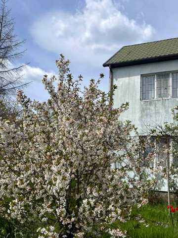 Садова, 34