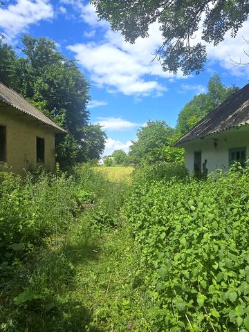 Центральна, 102