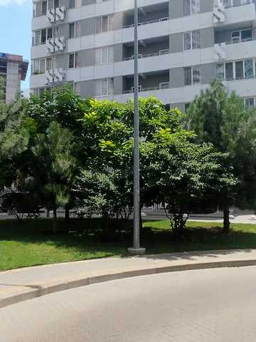 Березова вул., 2к2