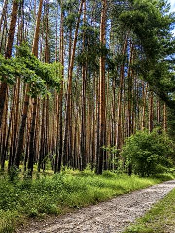 Мала Солтанівка, Фастівський, Київська область 28600 USD
