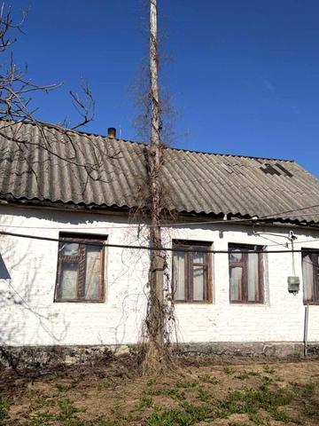 Покровська