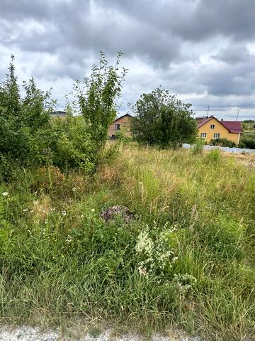 Лісові Гринівці, Хмельницький, Хмельницька область 45000 USD