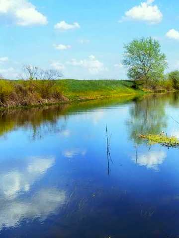 Вишнева вул.